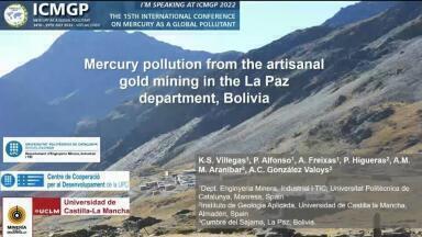 Mercury pollution from  the artisanal gold mining in the La Paz department, Bolivia